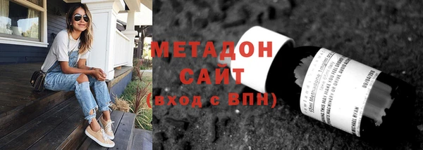 сатива Болотное