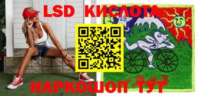 спиды Аргун