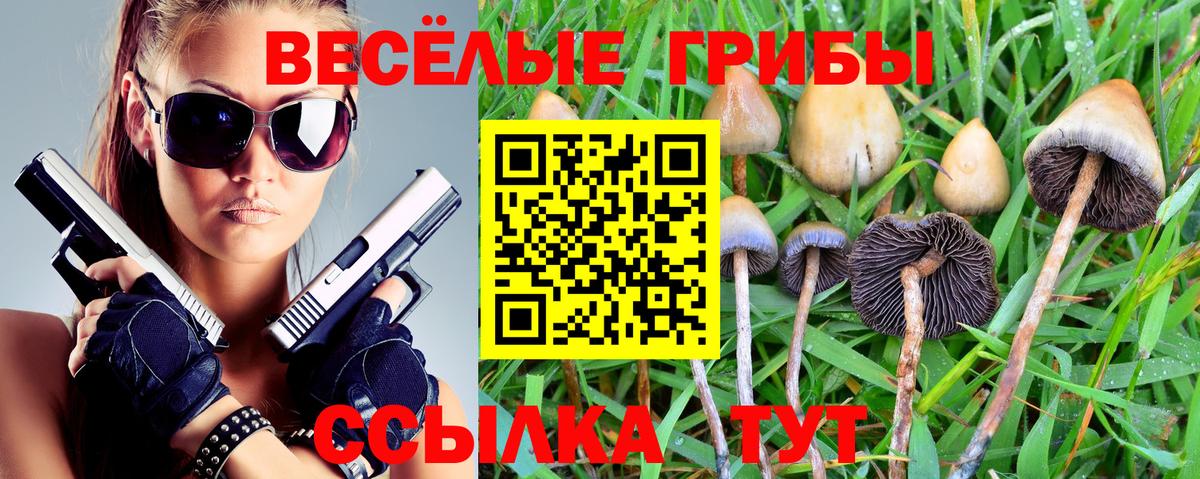 Галлюциногенные грибы Psilocybe Коммунар
