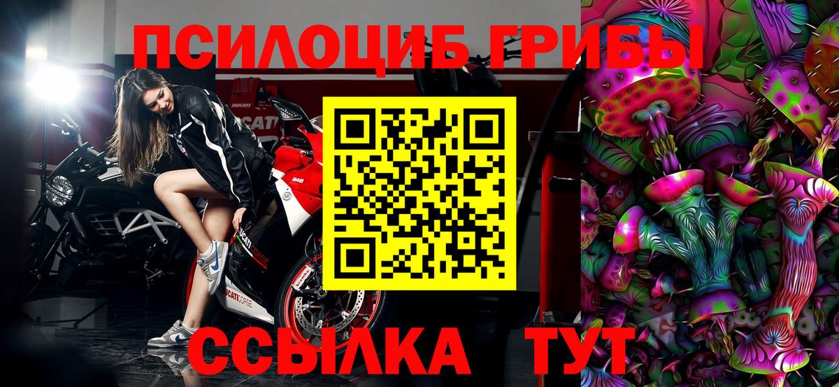 Галлюциногенные грибы мицелий Коммунар