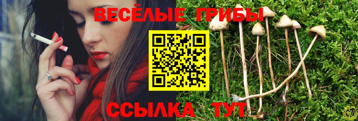 как найти закладки  Вход с VPN  Коммунар  Псилоцибиновые грибы мухоморы 