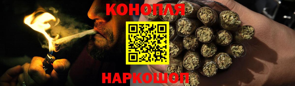 Канабис Ganja  Коммунар  Бошки Шишки MAZAR  Канабис сатива 